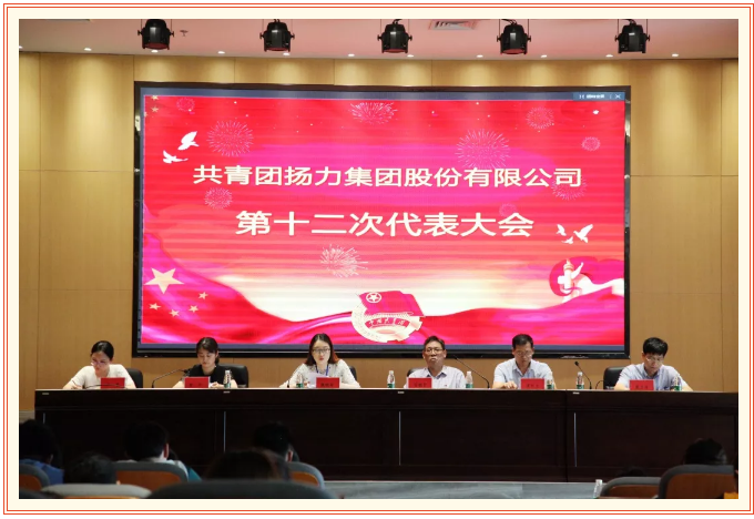 共青團揚力集團股份有限公司第十二次代表大會圓滿召開！