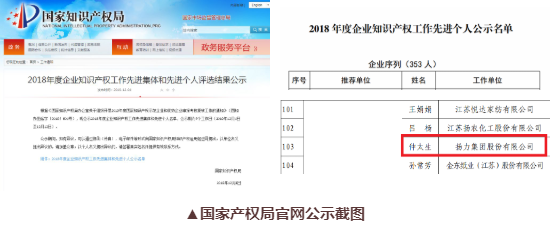 喜訊丨揚力集團總工程師仲太生榮獲“2018年度企業(yè)知識產權工作先進個人”榮譽稱號！